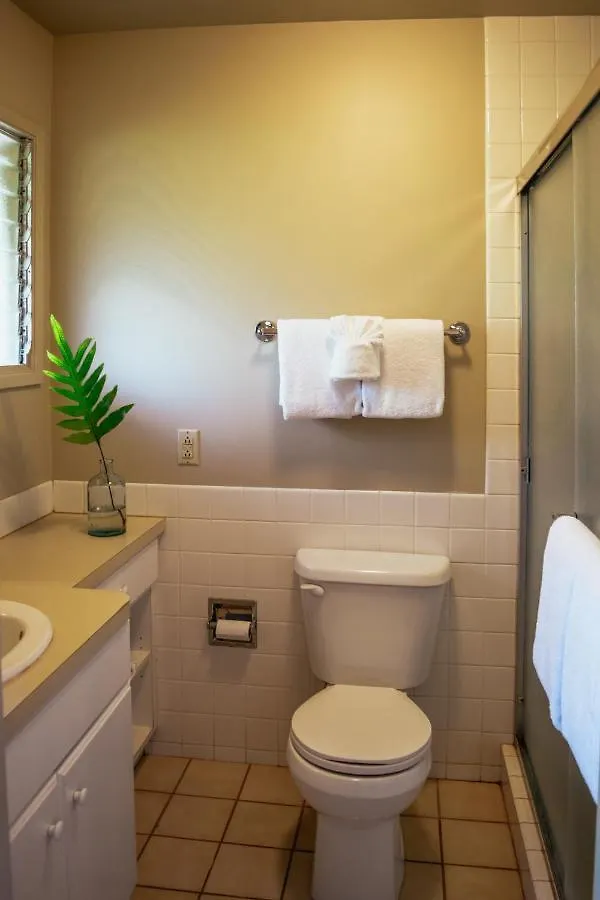 Napili Village Hotel Kahana 0*,  Stati Uniti